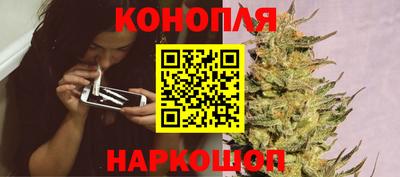 индика Азнакаево